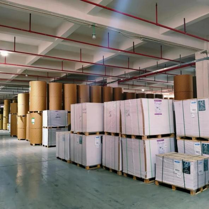 High Quality Cup stock paper sheet